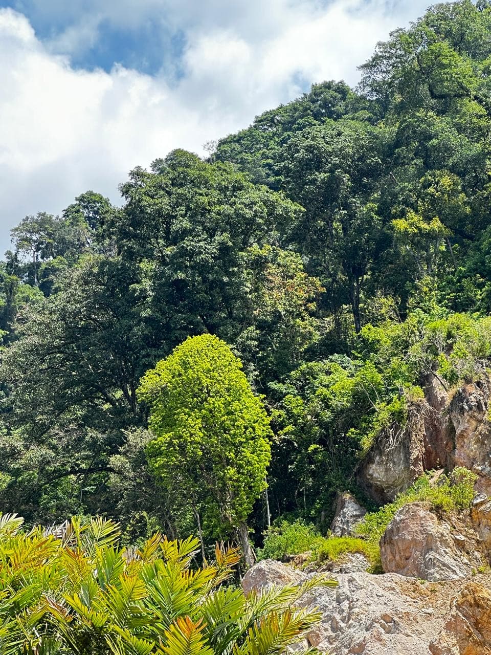 Kawasan hutan dan perbukitan di sekitar area kegiatan usaha