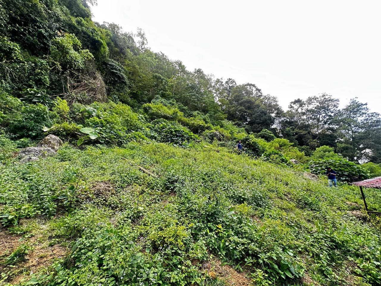 Tim lapangan CV Gradasi Utama Pertiwi melakukan survei di lokasi kegiatan