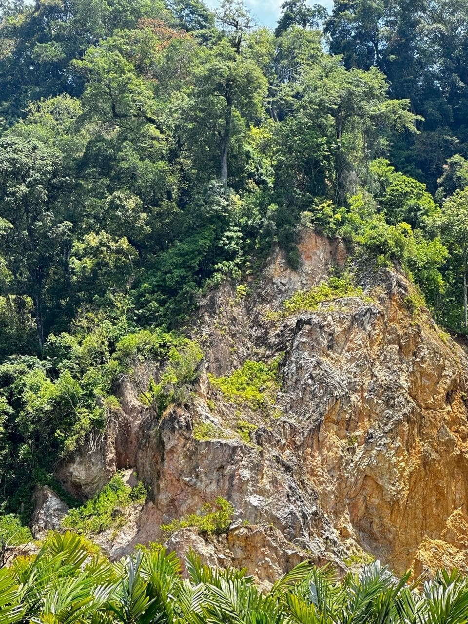 Kondisi tebing dan vegetasi di lokasi kegiatan usaha